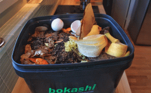 Read more about the article കാഞ്ഞങ്ങാട് നഗരസഭയില്‍ അടുക്കള മാലിന്യം സംസ്‌കരിക്കാന്‍ ഇനി ബൊക്കാഷി ബക്കറ്റുകള്‍; എന്താണ് ബൊക്കാഷി ബക്കറ്റ് എന്നറിയാം