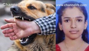 Read more about the article തെരുവുനായയുടെ കടിയേറ്റ വിദ്യാർത്ഥിനി മരിച്ചു; മെഡിക്കല്‍ കോളേജില്‍ ചികിത്സയില്‍ ആയിരുന്നു, പട്ടി കടിച്ചാലും ഒരു ഗോള്‍ഡന്‍ മണിക്കൂര്‍, പേവിഷ ബാധ തടയാന്‍ ഇവ അനിവാര്യം