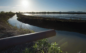 Read more about the article ഭൂജല സമ്പത്തിൻ്റെ വിവര ശേഖരണം; കാസർകോട് ജില്ലയിലെ  60 വാര്‍ഡുകളില്‍ വെല്‍ സെന്‍സസ് പൂര്‍ത്തീകരിച്ചു