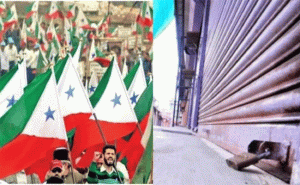 Read more about the article പോപ്പുലര്‍ ഫ്രണ്ട് ഹര്‍ത്താല്‍; കേരള സര്‍വകലാശാല വെള്ളിയാഴ്ച നടത്താനിരുന്ന എല്ലാ പരീക്ഷകളും മാറ്റി