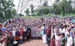 Read more about the article ബേഡഡുക്കയിലെ 350 കുടുംബശ്രീകളില്‍ നിന്നായി 2000 ലധികം സ്ത്രീകൾ; ജനകീയം ഈ കാട് കൊത്തല്‍