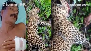 Read more about the article പു​ലി​യെ കൊ​ന്ന            സം​ഭ​വം; പാരമ്പര്യ കര്‍ഷകൻ ജീവന്‍ രക്ഷിക്കാന്‍ മുന്നിലേക്ക് ചാടി വീണ പുലിയെ വാക്കത്തിക്ക് ആഞ്ഞു വെട്ടി, ഇരയെ ഉപേക്ഷിച്ച്‌ പുലി മരണം വരിച്ചു, കേ​സ്                      എ​ടു​ക്കി​ല്ലെ​ന്ന്                       വ​നം​മ​ന്ത്രി