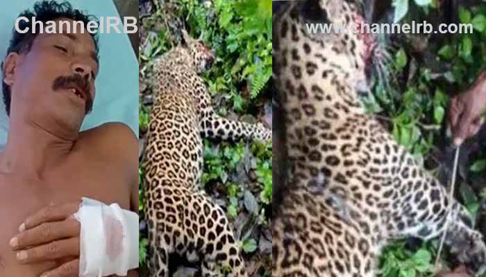 You are currently viewing പു​ലി​യെ കൊ​ന്ന            സം​ഭ​വം; പാരമ്പര്യ കര്‍ഷകൻ ജീവന്‍ രക്ഷിക്കാന്‍ മുന്നിലേക്ക് ചാടി വീണ പുലിയെ വാക്കത്തിക്ക് ആഞ്ഞു വെട്ടി, ഇരയെ ഉപേക്ഷിച്ച്‌ പുലി മരണം വരിച്ചു, കേ​സ്                      എ​ടു​ക്കി​ല്ലെ​ന്ന്                       വ​നം​മ​ന്ത്രി