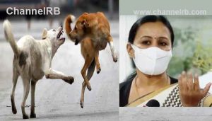 Read more about the article പേവിഷബാധ പ്രതിരോധ വാക്സിൻ; ആശങ്കയകറ്റാന്‍ ഗുണനിലവാരം വീണ്ടും പരിശോധിക്കണം എന്ന്  മന്ത്രി വീണാ ജോര്‍ജ്