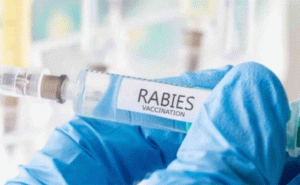 Read more about the article വാക്സീന്റെ ഗുണനിലവാരത്തെ കുറിച്ച് സംശയം; പേവിഷ പ്രതിരോധ വാക്സീൻ്റെ  ഒരു ബാച്ച് അടിയന്തരമായി പിൻവലിച്ചു