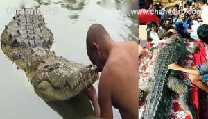 Read more about the article തടാകത്തിലെ ദൈവദർശനം ഇനിയില്ല; അനന്തപുരത്തെ അപൂർവതയുടെ ബബിയ മുതല ഇനി ഓർമകളിൽ, പറയുന്ന ഐതീഹ്യം ഇതാണ്