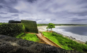 Read more about the article 2023 ജനുവരി 2 വരെ 10 ദിവസങ്ങൾ;  ബേക്കൽ അന്താരാഷ്ട്ര  ഫെസ്റ്റിവലിന് വിപുലമായ ഒരുക്കങ്ങൾ ആരംഭിച്ചു: സി. എച്ച് കുഞ്ഞമ്പു എം. എൽ. എ