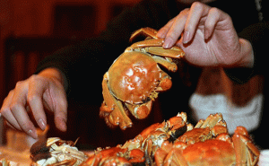 Read more about the article മകളെ ഇറുക്കിയ ഞണ്ടിനെ പച്ചയ്ക്ക് കഴിച്ച് പ്രതികാരം ചെയ്യാൻ നോക്കി; ഒടുവിൽ പിതാവിനെ  ആശുപത്രിയിൽ പ്രവേശിപ്പിച്ചു