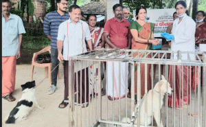 Read more about the article മടിക്കൈ ഗ്രാമ പഞ്ചായത്ത് പരിധിയിലെ പേവിഷബാധ കുത്തിവെപ്പ് ക്യാമ്പയിന് തുടക്കമായി