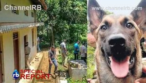 Read more about the article ഇലന്തൂരില്‍ ഇനിയും മൃതദേഹങ്ങള്‍ ഉണ്ടെന്ന് സൂചന; പറമ്പ് കുഴിച്ചു നോക്കാന്‍ പൊലീസ് തയാറെടുക്കുന്നു, വൈദഗ്ധ്യം ലഭിച്ച പൊലീസ് നായകൾ, പ്രതികള്‍ക്ക് നേരെ പ്രതിഷേധം