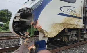 Read more about the article മണിക്കൂറില്‍ 100 കിലോമീറ്റര്‍ വേഗത; കന്നുകാലിക്കൂട്ടത്തെ ഇടിച്ച വന്ദേ ഭാരത് എക്സ്പ്രസ് എന്‍ജിൻ്റെ  മുന്‍ഭാഗം തകര്‍ന്നു