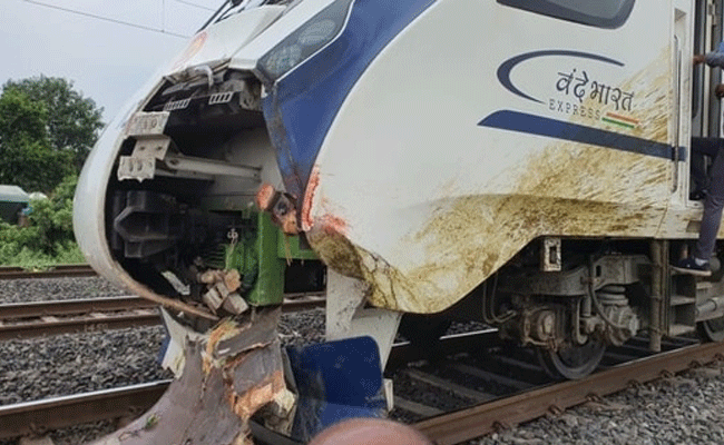 Read more about the article മണിക്കൂറില്‍ 100 കിലോമീറ്റര്‍ വേഗത; കന്നുകാലിക്കൂട്ടത്തെ ഇടിച്ച വന്ദേ ഭാരത് എക്സ്പ്രസ് എന്‍ജിൻ്റെ  മുന്‍ഭാഗം തകര്‍ന്നു