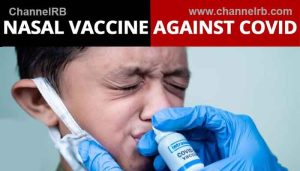 Read more about the article മൂക്കിലൂടെ നല്‍കുന്ന കോവിഡ് വാക്‌സിൻ; കേന്ദ്ര ആരോഗ്യ മന്ത്രാലയത്തിൻ്റെ അനുമതി, ആദ്യഘട്ട വിതരണം സ്വകാര്യ ആശുപത്രികളില്‍