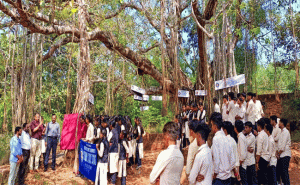 Read more about the article ആൽമരച്ചുവട്ടിൽ ഇന്ത്യൻ ഭരണഘടനയെ അറിയാം; സ്കൂൾ കുട്ടികളുടെ  ആശയം ഇങ്ങനെ