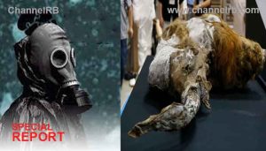 Read more about the article മനുഷ്യശരീരത്തിന് താങ്ങാനാകില്ല; വമ്പന്‍ മൃഗങ്ങളെ ഒന്നിച്ച്‌ കൊല്ലാന്‍ ശേഷി, 400,000 വര്‍ഷം പഴക്കമുള്ള വൈറസിനെ റഷ്യ പുനരുജ്ജീവിപ്പിക്കുന്നു, തീകൊണ്ടുള്ള കളിയാണെന്ന് ശാസ്ത്രജ്ഞര്‍