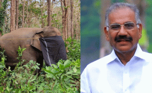 Read more about the article പാലക്കാടിനെ മുൾമുനയിൽ നിർത്തിയ കാട്ടുകൊമ്പൻ പിടി 7 ഇനിമുതൽ ‘ധോണി’; പുതിയ പേര് നൽകി വനം വകുപ്പ് മന്ത്രി