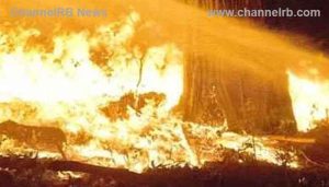 Read more about the article തൃശൂരില്‍ പൊട്ടിച്ചിതറിയത് അമിട്ട് ഗുളികകള്‍; ഭൂകമ്പമെന്ന് കരുതി പേടിച്ച്‌ പ്രദേശവാസികള്‍, പത്ത് കിലോമീറ്റര്‍ ദൂരേക്ക് സ്ഫോടനത്തിൻ്റെ പ്രകമ്പനം