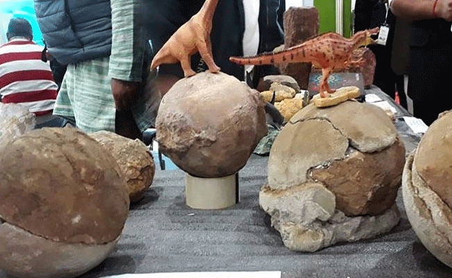 Read more about the article 6.6 കോടി വർഷം പഴക്കമുള്ള 256 മുട്ടകളും 92 കൂടുകളും; നർമ്മദാ താഴ്വരയിൽ ദിനോസർ കോളനി കണ്ടെത്തി ഗവേഷകർ