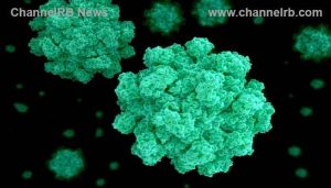 Read more about the article എറണാകുളത്ത് നോറോ വൈറസ് ബാധ; എന്താണ് നോറോ വൈറസ്? ലക്ഷണങ്ങള്‍ ഇതാണ്