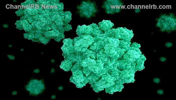 You are currently viewing എറണാകുളത്ത് നോറോ വൈറസ് ബാധ; എന്താണ് നോറോ വൈറസ്? ലക്ഷണങ്ങള്‍ ഇതാണ്