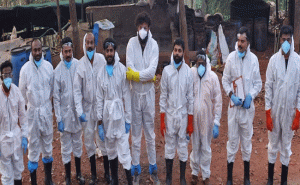 Read more about the article ആഫ്രിക്കന്‍ പന്നിപ്പനി; സ്ഥിരീകരിച്ച മഞ്ചേശ്വരം താലൂക്കിലെ ഫാമിലെ 491 പന്നികളെ ദയാവധം നടത്തി സംസ്‌കരിച്ചു