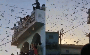 Read more about the article ഏവരും നോക്കിനിൽക്കെ വിവാഹ സൽക്കാരത്തിനിടെ നോട്ടുമഴ; പണം വാരാനായി ഓടിക്കൂടി ജനം