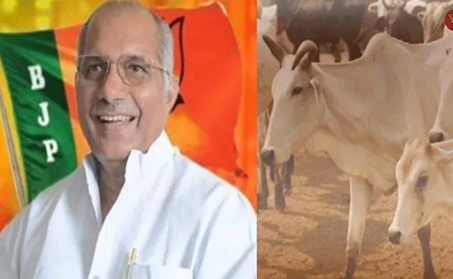 Read more about the article പശുവിനെ കെട്ടിപ്പിടിക്കുന്നത് ബി.പി കുറയ്ക്കും, അസുഖങ്ങള്‍ തടയും; വിചിത്രവാദവുമായി യു.പി മൃഗസംരക്ഷണ വകുപ്പ് മന്ത്രി