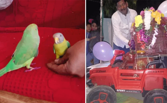 You are currently viewing ആചാരപൂർവം വിവാഹിതരായി തത്തയും മൈനയും; അപൂർവ വിവാഹം ആഘോഷമാക്കി ഒരു ​ഗ്രാമം