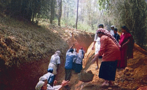 Read more about the article തൊഴിലുറപ്പ് പദ്ധതി പ്രവര്‍ത്തനങ്ങൾ; പടന്ന ഗ്രാമ പഞ്ചായത്തിന് മൂന്നാം തവണയും മഹാത്മാ പുരസ്‌കാരം