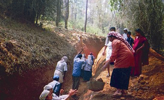 Read more about the article തൊഴിലുറപ്പ് പദ്ധതി പ്രവര്‍ത്തനങ്ങൾ; പടന്ന ഗ്രാമ പഞ്ചായത്തിന് മൂന്നാം തവണയും മഹാത്മാ പുരസ്‌കാരം