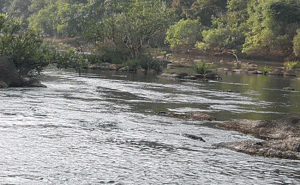 Read more about the article കാസർകോട് ജില്ലയിലെ പുഴകളില്‍ നിന്ന് നീക്കം ചെയ്ത ചെളിയും എക്കലും ലേലം ചെയ്യും; നടപടികൾ ആരംഭിച്ചു