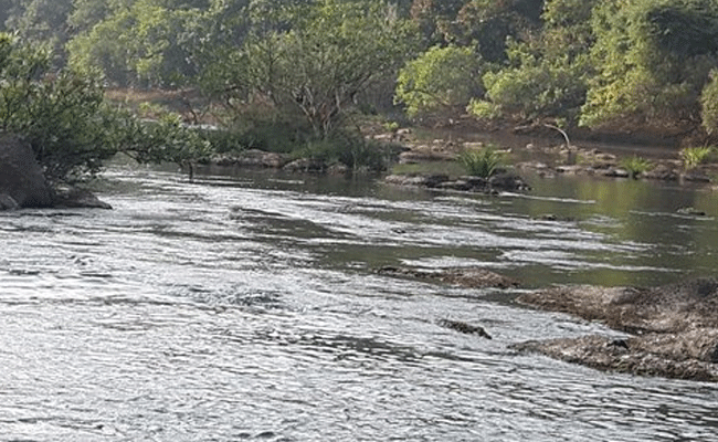 Read more about the article കാസർകോട് ജില്ലയിലെ പുഴകളില്‍ നിന്ന് നീക്കം ചെയ്ത ചെളിയും എക്കലും ലേലം ചെയ്യും; നടപടികൾ ആരംഭിച്ചു