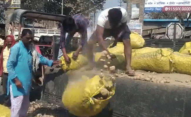 Read more about the article കർഷകർ നൂറുകണക്കിന് ഉരുളക്കിഴങ്ങ് ചാക്കുകൾ റോഡിൽ എറിഞ്ഞ് മുദ്രാവാക്യം വിളിച്ചു; ഉയർത്തുന്ന ആവശ്യം ഇതാണ്