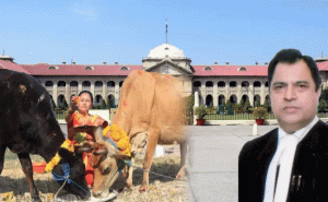 Read more about the article ഗോഹത്യ നടത്തുന്നവര്‍ നരകത്തില്‍ ചീഞ്ഞഴുകും; രാജ്യത്ത് ഗോഹത്യ തടയാനുള്ള മാര്‍ഗങ്ങള്‍ കേന്ദ്ര സര്‍ക്കാര്‍ സ്വീകരിക്കണം; വിചിത്ര നിരീക്ഷണങ്ങളുമായി അലഹബാദ് ഹൈക്കോടതി