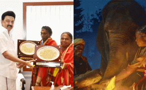 Read more about the article ബൊമ്മനും ബെല്ലിക്കും സമ്മാനവുമായി എം.കെ സ്റ്റാലിൻ; ഒരുലക്ഷം രൂപ വീതം നൽകും