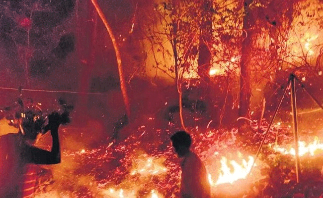 You are currently viewing പാലക്കാടിന് പിന്നാലെ തൃശൂരിലും കാട്ടുതീ പടരുന്നു; 100 ഏക്കർ വനഭൂമി കത്തി നശിച്ചു