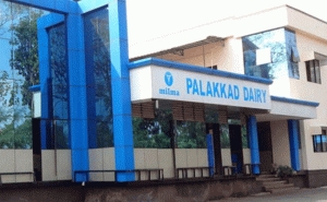 Read more about the article പാലക്കാട് മില്‍മ പ്ലാന്‍റില്‍ വാതക ചോര്‍ച്ച; കുട്ടികൾക്ക് ദേഹാസ്വാസ്ഥ്യം ഉണ്ടായെന്ന് ആരോപണം
