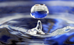 Read more about the article ജലബജറ്റിൻ്റെ പെരുമയില്‍ കാഞ്ഞങ്ങാട് ബ്ലോക്ക്; ലോകജല ദിനത്തില്‍ ജലബജറ്റ് അവതരിപ്പിക്കും