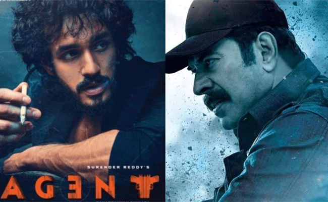 Read more about the article മമ്മൂട്ടി – അഖിൽ അക്കിനേനി; പാൻ ഇന്ത്യൻ തെലുങ്ക് ചിത്രം ‘ഏജന്റ്’ ഈ മാസം തിയേറ്ററുകളിലേക്ക്