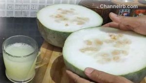 Read more about the article കുമ്പളങ്ങ കഴിച്ചും ദഹന പ്രശ്‌നങ്ങളെ തുരത്താം; ജ്യൂസ് മുതല്‍ ചാറുകറി വരെയും ഉണ്ടാക്കാം