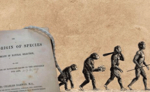 Read more about the article ശാസ്ത്ര പുസ്തകത്തിൽ നിന്ന് പരിണാമ സിദ്ധാന്തവും പുറത്ത്; എൻ.സി.ഇ.ആർ.ടിക്ക് കത്തെഴുതി അധ്യാപകരും ശാസ്ത്രജ്ഞരും