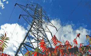 Read more about the article ഉഡുപ്പി കാസര്‍കോട് 400 കെ.വി വൈദ്യൂതി ലൈന്‍; ഏപ്രില്‍ 23ന് കളക്ടറേറ്റില്‍ യോഗം ചേരും