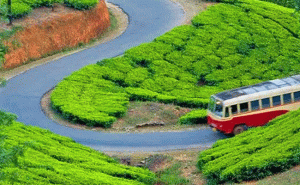 Read more about the article ബഡ്ജറ്റ് ടൂറിസം; കെ.എസ്.ആര്‍.ടി.സിയുടെ കാസർകോട്- മൂന്നാര്‍ യാത്ര ഈ മാസം എട്ടിന്