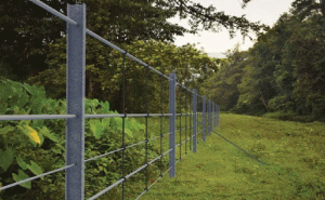 Read more about the article ദേലംപാടി, മുളിയാര്‍, കാറഡുക്ക, ബേഡഡുക്ക, കുറ്റിക്കോല്‍ ഗ്രാമപഞ്ചായത്തുകളിൽ സൗരോര്‍ജ്ജ വേലി പദ്ധതി; മന്ത്രി എ.കെ.ശശീന്ദ്രൻ്റെ നേതൃത്വത്തില്‍ യോഗം ചേര്‍ന്നു