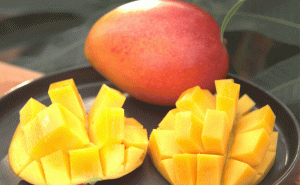 Read more about the article നിങ്ങൾക്ക് ഈ മാമ്പഴത്തിലൊന്ന് കഴിക്കണോ; എങ്കിൽ 19000 രൂപ നല്‍കണം