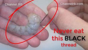 Read more about the article ചെമ്മീനിൻ്റെ കറുത്ത നാര് കളയാതെയാണോ കഴിക്കുന്നത്; പണി കിട്ടും, ഇതറിയണം