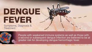 Read more about the article ഈഡിസ് കൊതുകിൻ്റെ കടി അപകടം; കേരളത്തില്‍ ഡെങ്കിപ്പനി ജാഗ്രത, ശ്രദ്ധിക്കേണ്ട കാര്യങ്ങള്‍