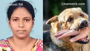 Read more about the article പേ വിഷബാധയേറ്റ് മരിക്കുന്നതിന് മുമ്പ് യുവതി അക്രമാസക്തയായി; ബംഗളൂരുവിലെ ജോലി വിട്ട് നാട്ടിലെത്തിയത് സഹോദരനെ പരിചരിക്കാന്‍