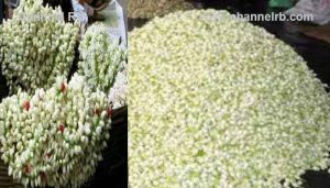 Read more about the article മുഴം കണക്കില്‍ മുല്ലപ്പൂ വിറ്റതിന് പിഴയീടാക്കി ലീഗല്‍ മെട്രോളജി വകുപ്പ്; അഭിനന്ദനവുമായി സോഷ്യല്‍ മീഡിയ