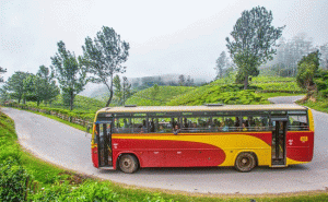 Read more about the article ബജറ്റ് ടൂറിസം: കാസര്‍കോട് യൂണിറ്റില്‍ നിന്നും കെ.എസ്.ആര്‍.ടി.സി വയനാട് യാത്ര ജൂണ്‍ 9ന്